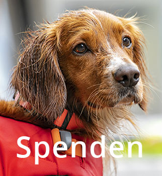 spenden